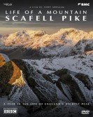 Life of a Mountain: A Year on Scafell Pike Free Download