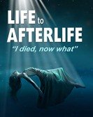 Life to AfterLife: I Died, Now What Free Download