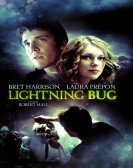 Lightning Bug poster