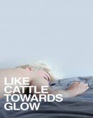 Like Cattle Towards Glow Free Download