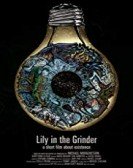 Lily in the Grinder poster