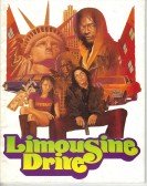 Limousine Drive poster