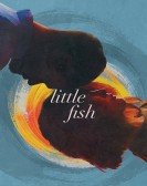 Little Fish Free Download