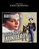 Little Lord Fauntleroy poster