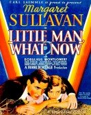 poster_little-man-what-now_tt0025408.jpg Free Download