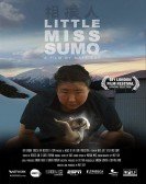 Little Miss Sumo Free Download