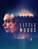 Little Woods Free Download