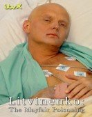 poster_litvinenko-the-mayfair-poisoning_tt24752700.jpg Free Download