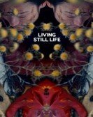 Living Still Life Free Download