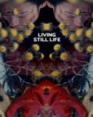 poster_living-still-life_tt2850834.jpg Free Download