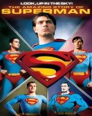 poster_look-up-in-the-sky-the-amazing-story-of-superman_tt0499516.jpg Free Download