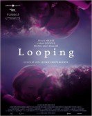 poster_looping_tt5295802.jpg Free Download