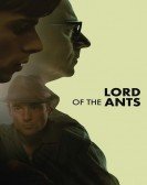 poster_lord-of-the-ants_tt14575898.jpg Free Download