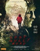 poster_lost-gully-road_tt6371924.jpg Free Download