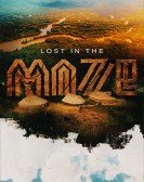 Lost in the Maze Free Download