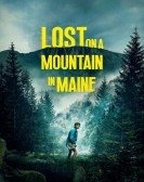 Lost on a Mountain in Maine Free Download