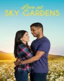 Love at Sky Gardens Free Download