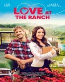 poster_love-at-the-ranch_tt12899520.jpg Free Download