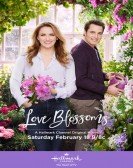 Love Blossoms Free Download