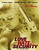 Love, Hate & Security Free Download