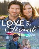 poster_love-in-the-forecast_tt11836852.jpg Free Download