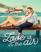 Love Is in the Air Free Download