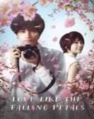 Love Like the Falling Petals Free Download