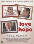 Love Meet Hope poster