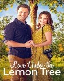 poster_love-under-the-lemon-tree_tt18923318.jpg Free Download