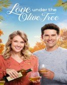 poster_love-under-the-olive-tree_tt10782366.jpg Free Download