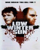 Low Winter Sun poster