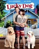 poster_lucky-dog_tt3149360.jpg Free Download