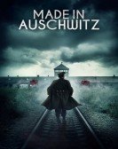 Made in Auschwitz: The Untold Story of Block 10 Free Download