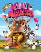 Madly Madagascar Free Download