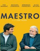 Maestro Free Download