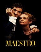 Maestro Free Download