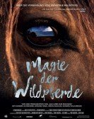 Magic of the Wild Horses Free Download