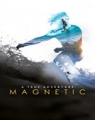 Magnetic Free Download