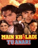 Main Khiladi Tu Anari poster