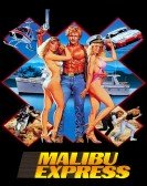 Malibu Express (1985) Free Download