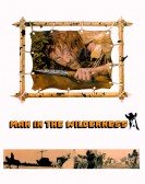 Man in the Wilderness (1971) poster