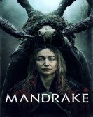 poster_mandrake_tt13533944.jpg Free Download