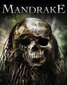 poster_mandrake_tt1523367.jpg Free Download