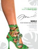 Manolo: The Boy Who Made Shoes for Lizards poster