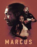 Marcus Free Download