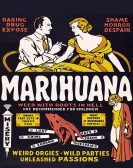 Marihuana Free Download