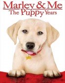 Marley & Me: The Puppy Years Free Download