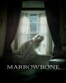 The Secret of Marrowbone (2017) poster