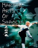 poster_martial-arts-of-shaolin_tt0091607.jpg Free Download