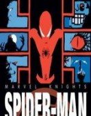 Marvel Knights: Spider-Man poster